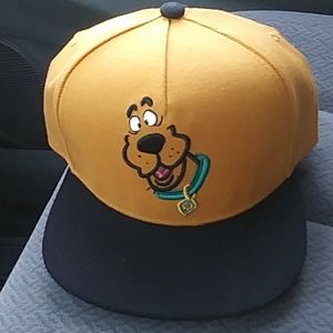 WB Scooby big face mtn cap